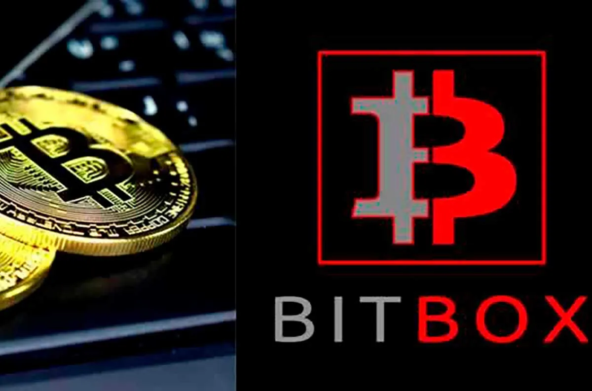 BITBOX Franchise Cost & Fees | How To Open | Opportunities And Investment  Information