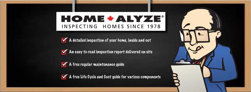 Home Alyze Franchise in Canada