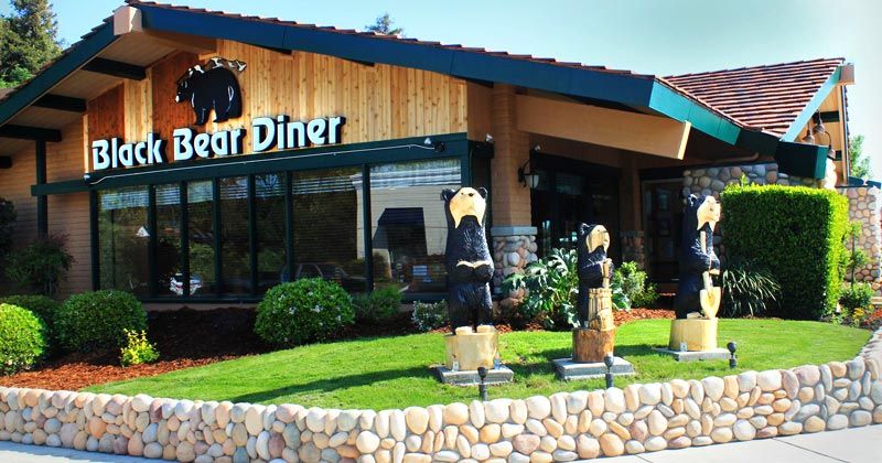 Black Bear Diner Franchise in the USA