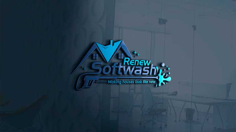 ReNEW Softwash franchise