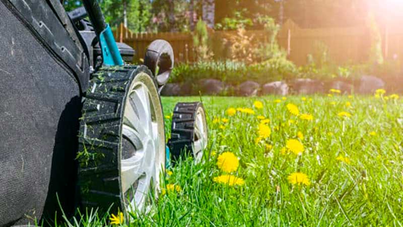 The Best Lawn Care Franchise Business Opportunities in USA in 2023