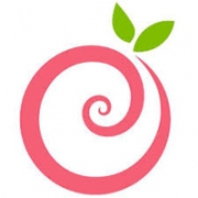 Pinkberry franchise company