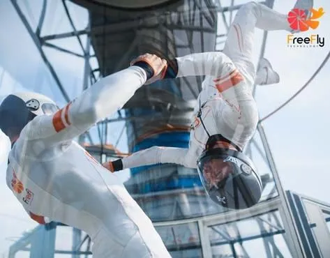 FreeFly Franchise For Sale - Wind Tunnel Skydiving Simulator - image 2