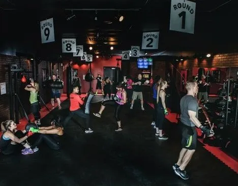 9Round Franchise For Sale - Kickbox Fitness Centers - image 2