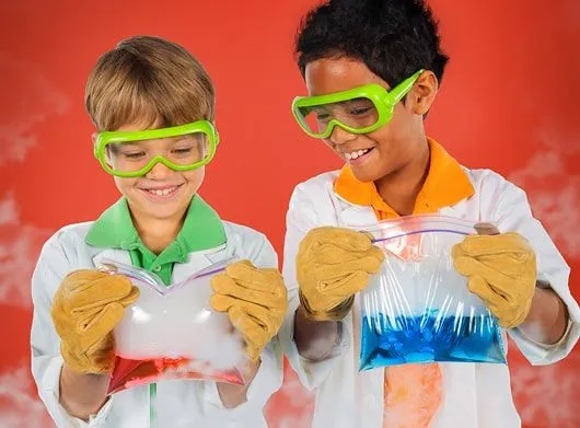 Nutty Scientists Franchise cost