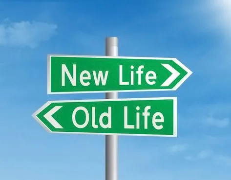 One Life To Make Franchise - Lucrative Online Business in the Personal Development