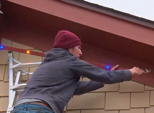 JellyFish Lighting franchise for sale