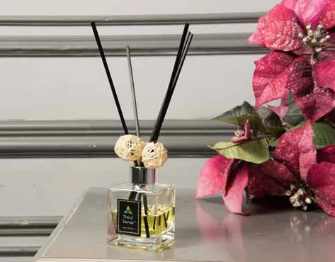 Third Sense Franchise For Sale - Aroma Marketing - image 2