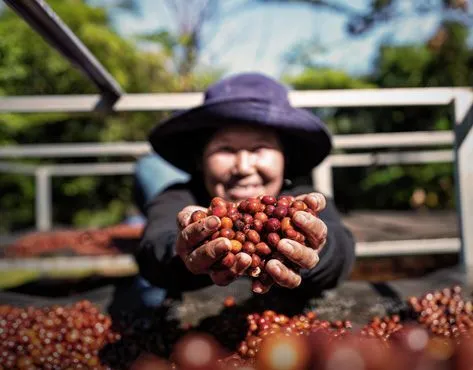 The Coffee Bean & Tea Leaf® Franchise For Sale