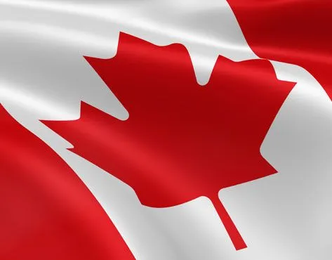 International Experience Club Ltd. Franchise For Sale – Education Center