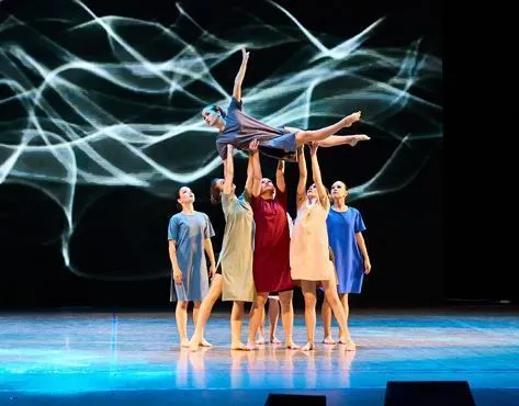 DIVITIA Franchise For Sale - image 3