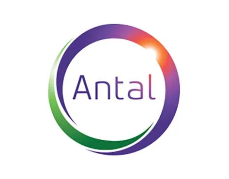Antal Franchise for Sale - Global Executive Recruitment - image 3