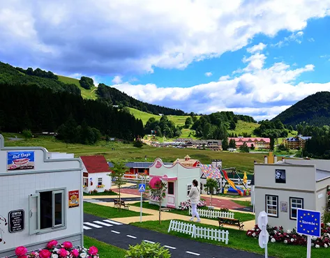 Franchise HAPPYTOWNIA — The Capital of Children