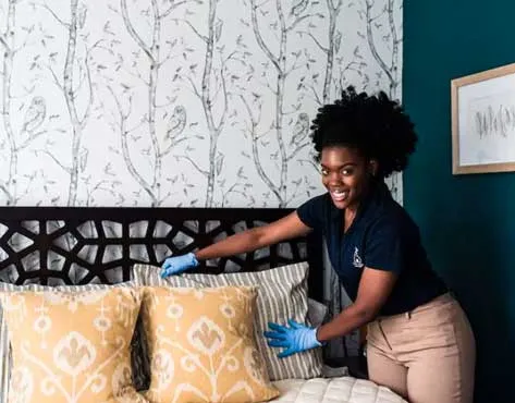 Home Clean Heroes Franchise For Sale - House cleaning service - image 2