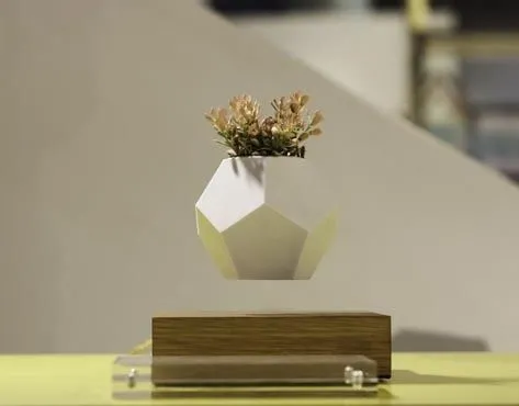 LEVITTA Franchise For Sale - Instagram Store Which Sells Levitating Products - image 4