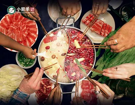 Little Sheep Franchise For Sale – Hot Pot - image 2