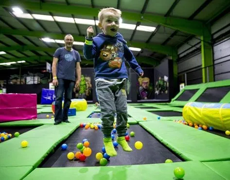 Flip Out Franchise For Sale - Entertainment Facility - image 3