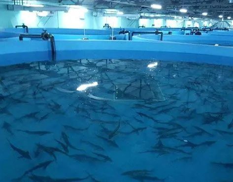 Agrotech Space Agrocluster Franchise For Sale - image 3