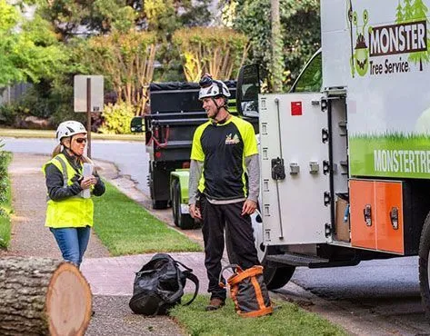 Monster Tree Service Franchise For Sale - image 2