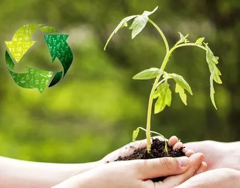 Agrotech Space Agrocluster Franchise For Sale