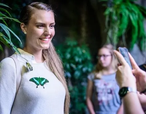 Papilonia Franchise For Sale – Butterfly Houses