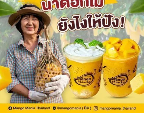 Mango Mania Cafe Franchise For Sale - image 3