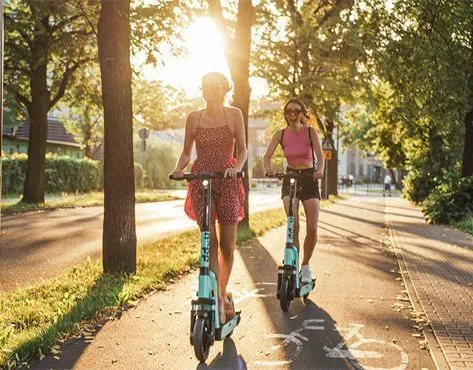 Hopp Mobility Franchise - eScooter MaaS rentals