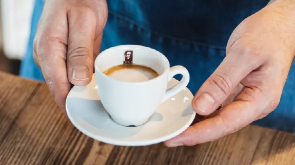 Coffee Fellows franchise