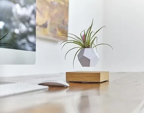 LEVITTA Franchise For Sale - Instagram Store Which Sells Levitating Products - image 3