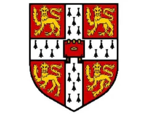 ILS  Franchise For Sale - International Chain of Language Schools - image 2