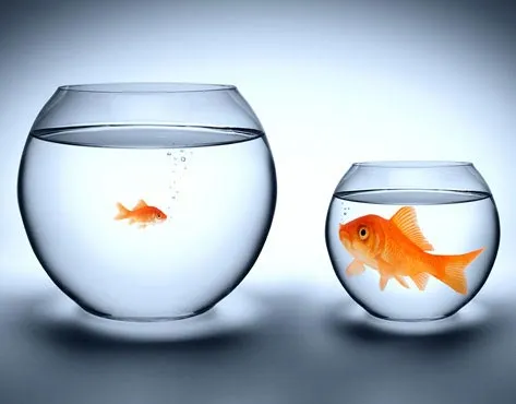 Rockefeller Real Estate Franchise For Sale - internationally operating company