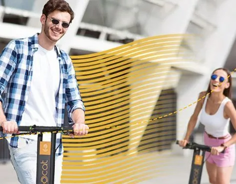 Samocat Sharing Franchise For Sale - Automatic Stations of Scooter Rental - image 3