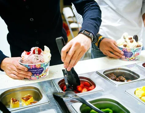 Summer Love Frozen Yogurt - Franchise for sale