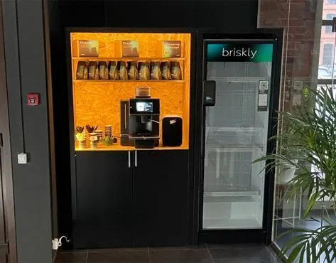 Briskly Franchise – Micromarket