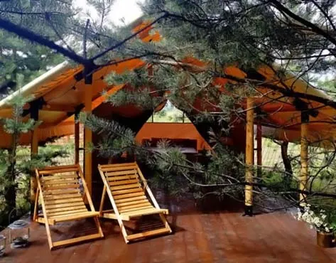 OneGlamping Hotel Franchise For Sale - image 4