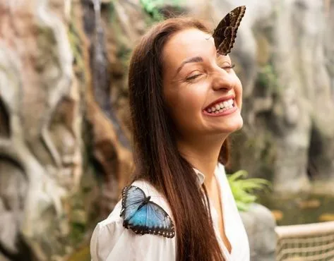 Papilonia Franchise For Sale – Butterfly Houses - image 3