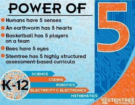 Stemtree Franchise - image 2