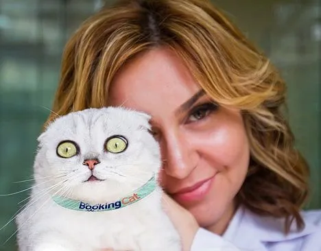 BookingCat Franchise For Sale - Pet Hotels Chain - image 3