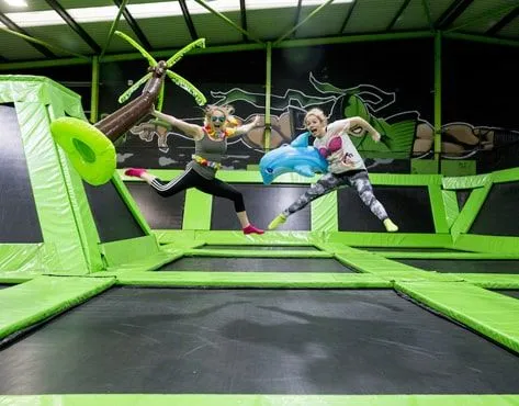 Flip Out Franchise For Sale - Entertainment Facility - image 2