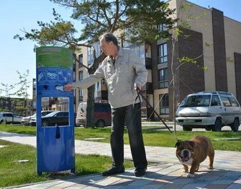 "ParaDogs" - social and innovative project