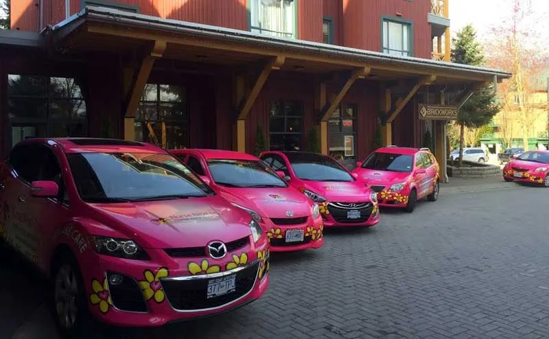 Nurse Next Door Home Care Franchise