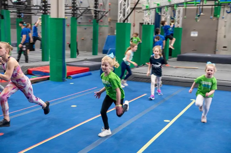 Ultimate Ninjas franchise