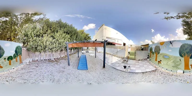 About Dogstown University franchise