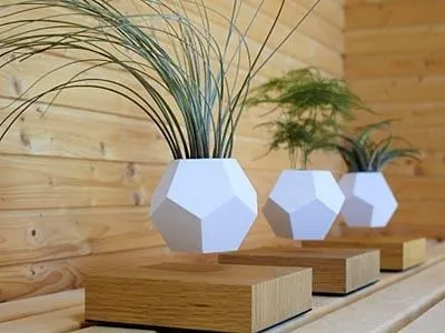 LEVITTA franchise opportunities LEVITTA franchise opportunities