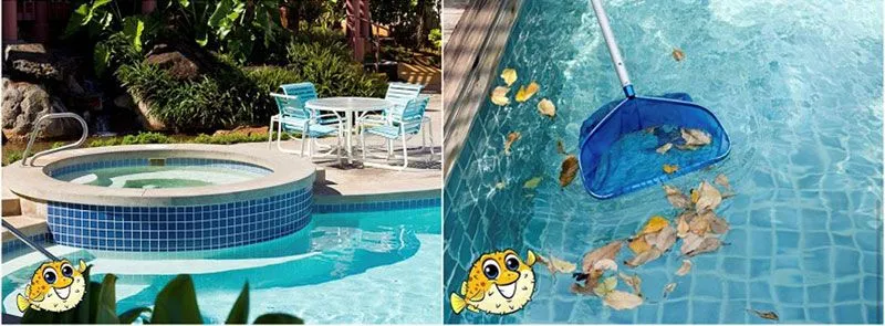 Puddle Pool Services