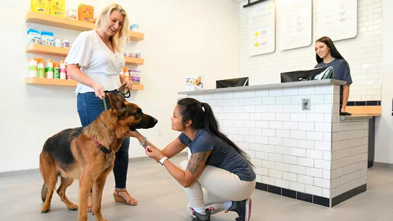 Scenthound franchise