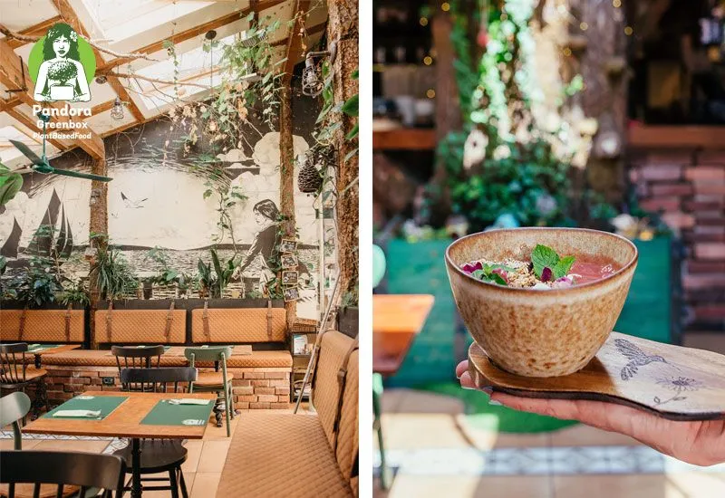 Pandora Greenbox Franchise