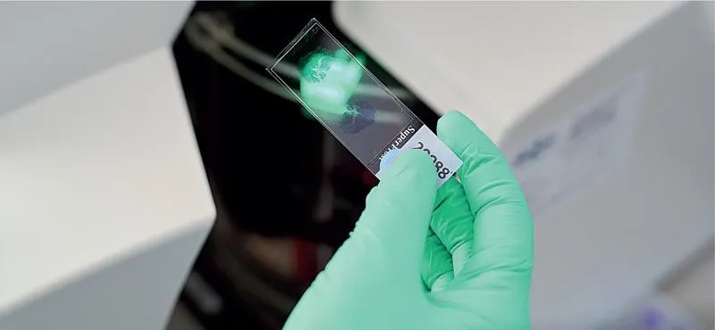 Franchise opportunities - Gemotest Franchise opportunities - Gemotest