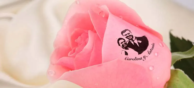 About Speaking Roses franchise