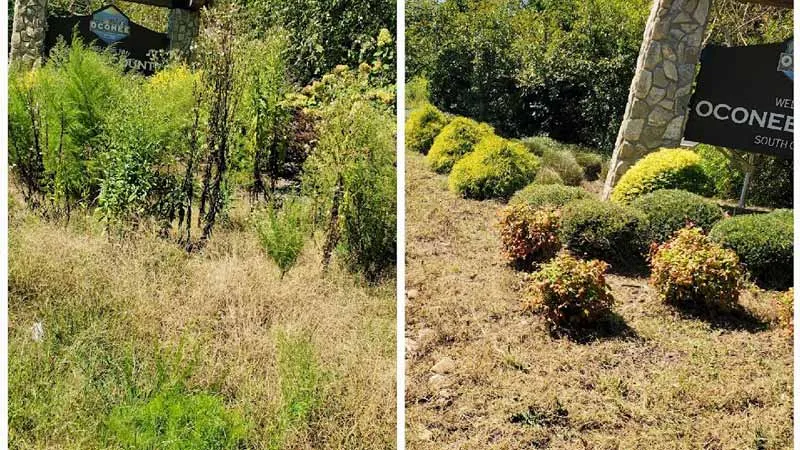 TM Landscape Solutions